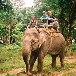 Lire la suite à propos de l’article Safari dans le Parc Chitwan en 3 jours