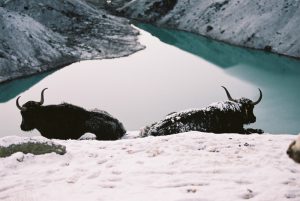 Lire la suite à propos de l’article Trek des 3 cols depuis Lukla sur 19 jours