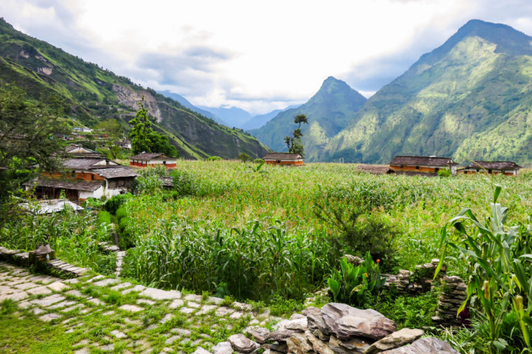 Lire la suite à propos de l’article Tour du Dolpo sur 18 jours