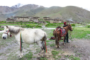 Lire la suite à propos de l’article Trek du Bas Dolpo en 12 jours