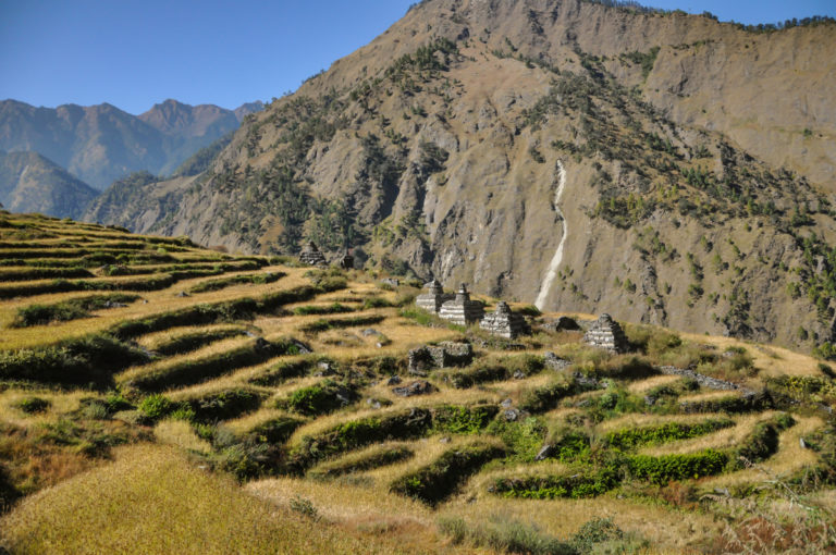 Lire la suite à propos de l’article Trek de Tamang-Héritage + Langtang en 13 jours