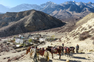 Lire la suite à propos de l’article Trek de tour du MUSTANG sur 15 jours